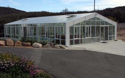 Swim 365 Days a Year With a Pool Enclosure