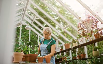 Greenhouses