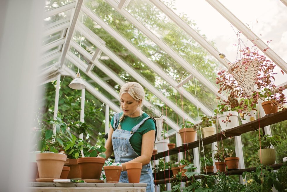 Greenhouses Global Solariums   Greenhouse Global Solarium 980x654 