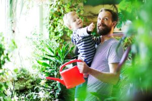 solarium build for planting with the family