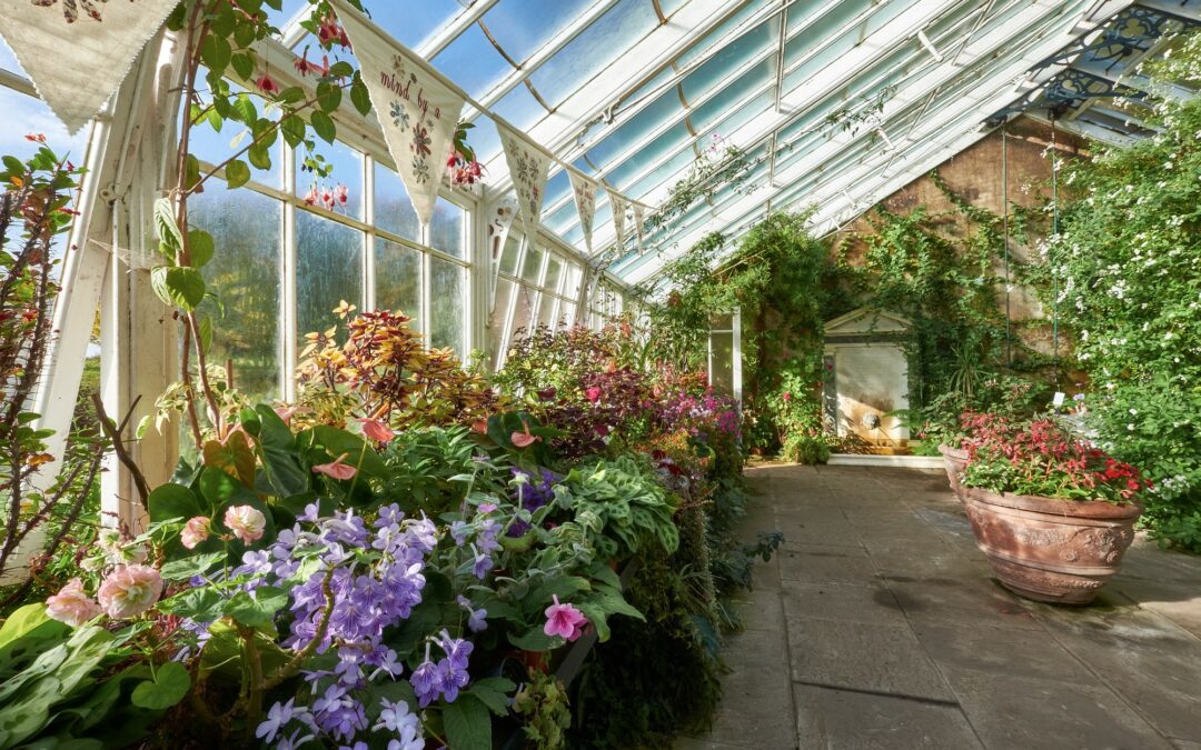 Transform Your Home with a Sunroom Greenhouse: Benefits and Considerations